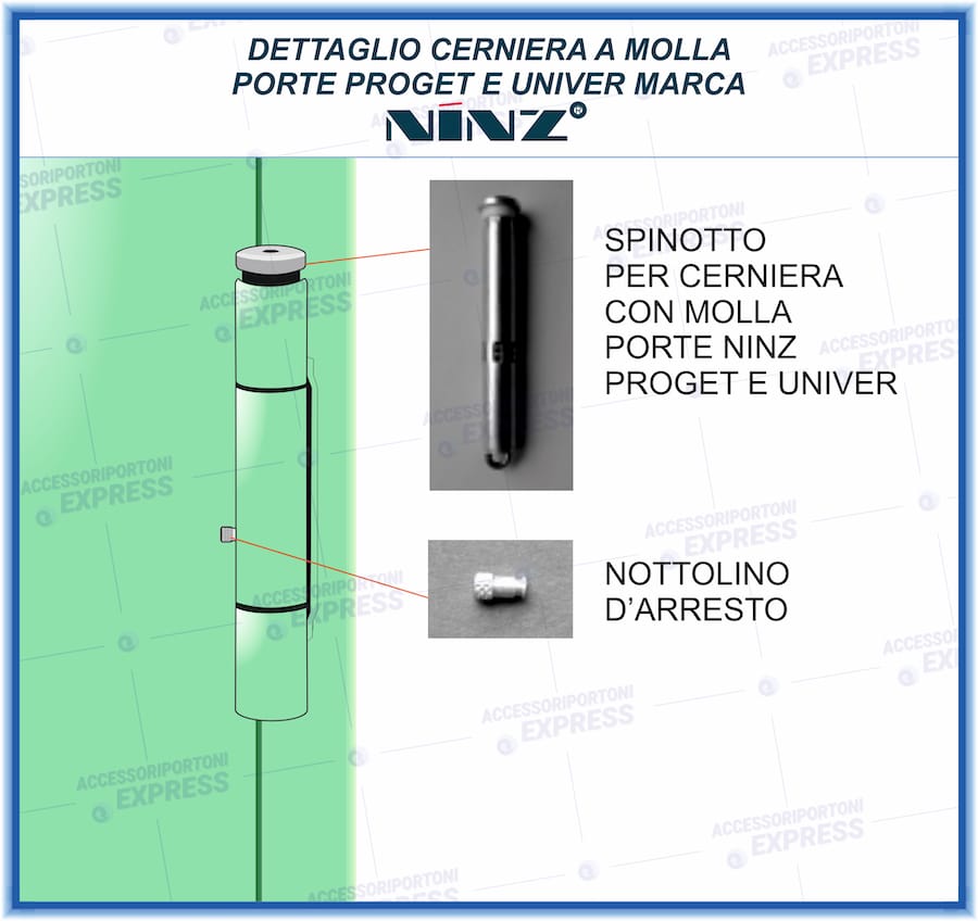 Spinotto molla cerniera