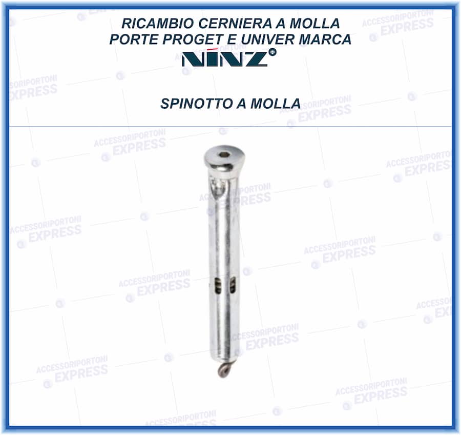 Spinotto molla cerniera