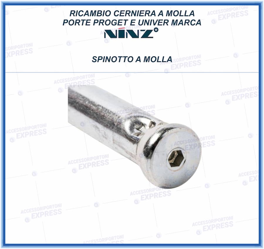 Spinotto molla cerniera